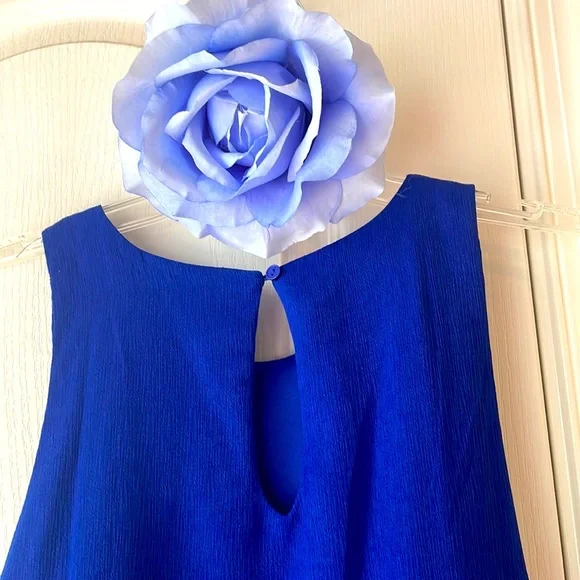 Royal Blue A line Dress - Picture 4 of 7